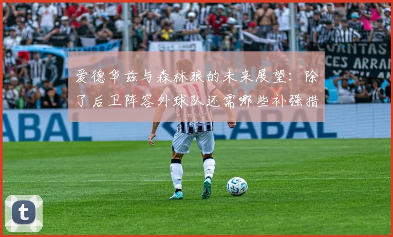 爱德华兹与森林狼的未来展望：除了后卫阵容外球队还需哪些补强措施